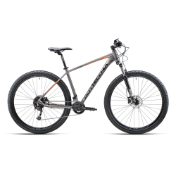 BOTTECCHIA 125